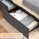 preview thumbnail 8 of 7, Full Size Grey Velvet Bed Frame with 4 Convenient Storage Drawers, Wingback Headboard with Charging Station