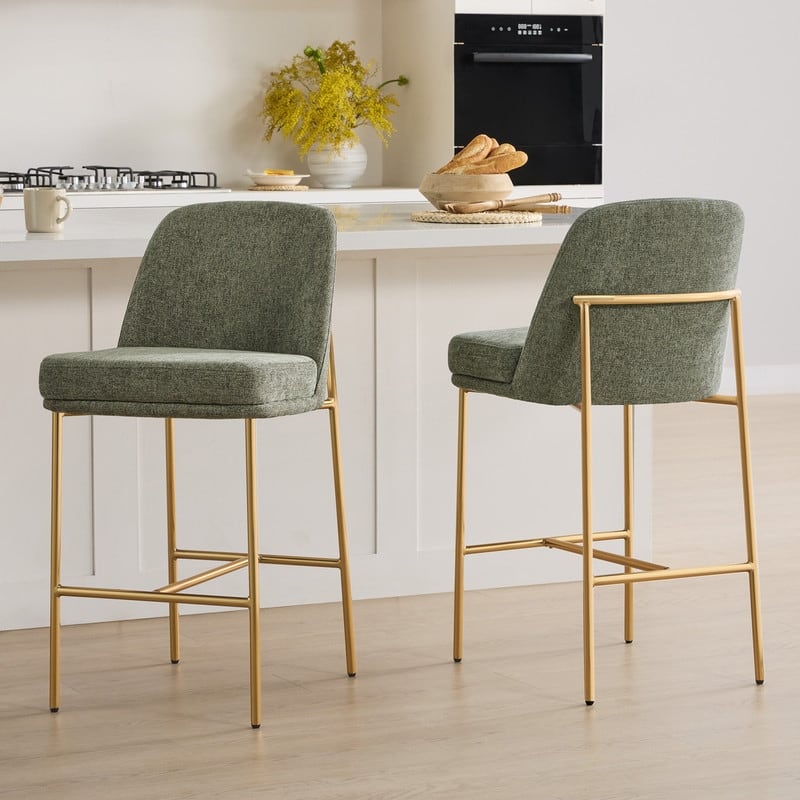 Evelyn Modern 27 inch Counter Height Bar Stool Set of 2