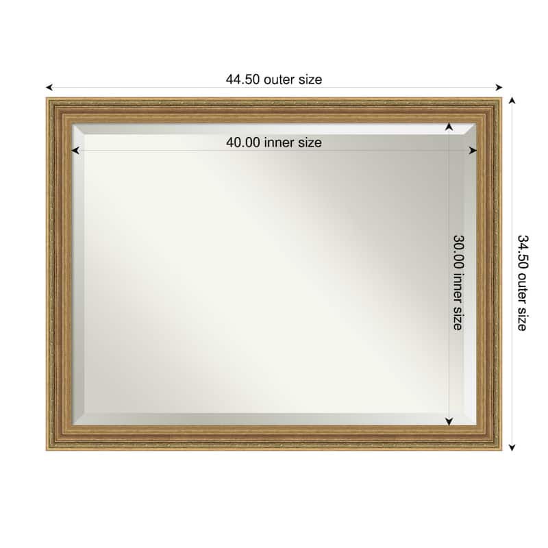 Elliot Gold Beveled Framed Wall Mirror - Elliot Gold - 45 x 35 in