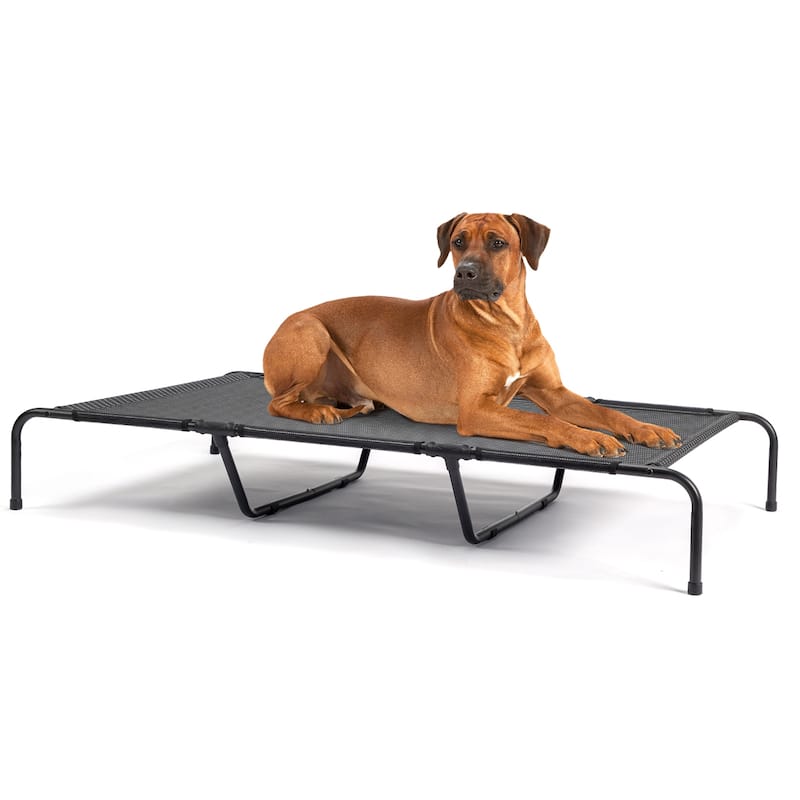 Large Elevated Dog Bed with Powder Coated Steel Frame Suitable for Large Dogs - 60"D x 37"W x 9"H