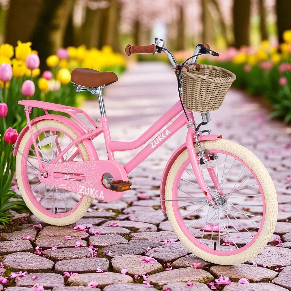 20 Inch Girls Bike with Basket, Single Speed Steel Frame, Front V-Brake & Rear Coaster Brake, Ages 7-10