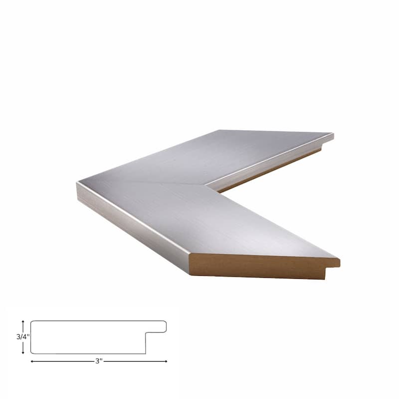 Frame My Mirror Stainless Steel Framed Wall Mirror, Pendleton Design