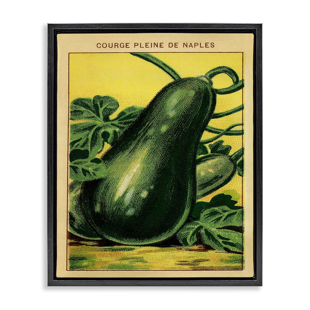 Stupell Country Vintage Squash Framed Floater Canvas Wall Art Design By Lil' Rue