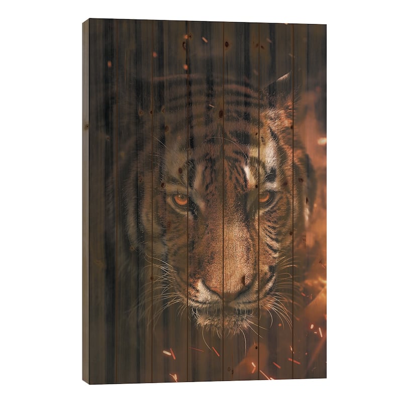 Tiger Sparkles Print On Wood by Zenja Gammer - Multi-Color - 40x26x1.5