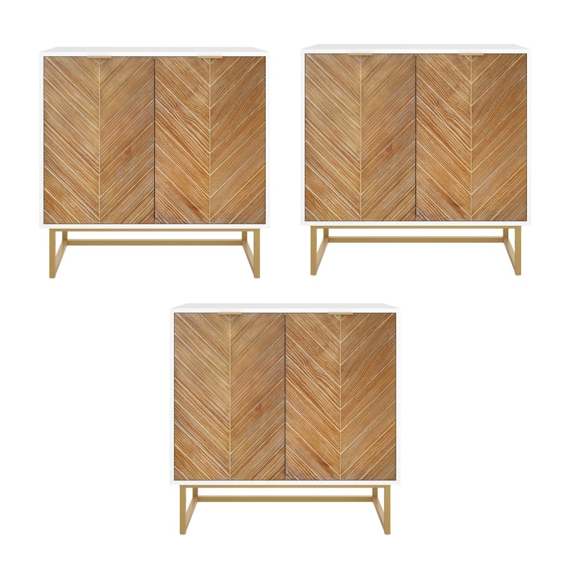 Nathan James Enloe Rustic Doors Metal Base Free Standing Modern Storage Cabinet for Entryway