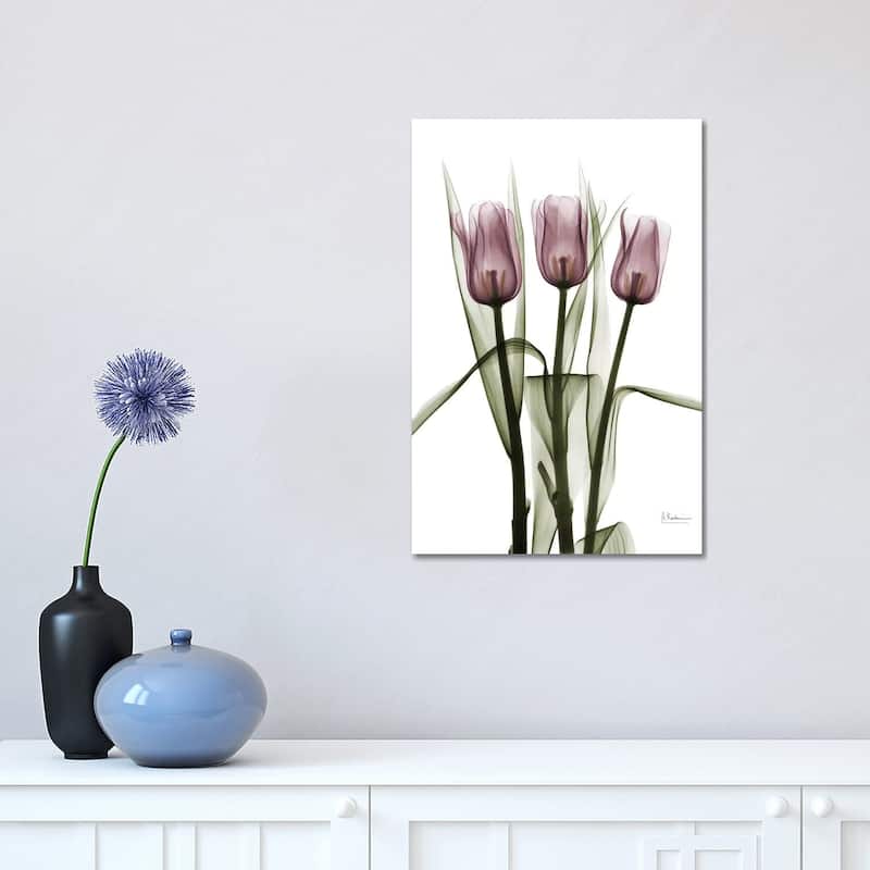 iCanvas "Tulips II" by Albert Koetsier Canvas Print - 18x12x1.5