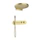 Option Brushed Gold