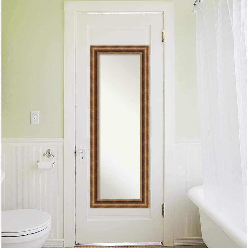 Non-Beveled Wood Full Length On The Door Mirror - Manhattan Frame - Outer Size: 19 x 53 in