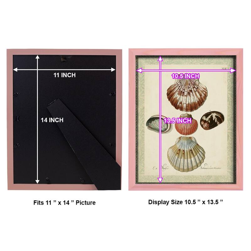 Bookplate Shells III -Framed Print w/glass-Cherry Red