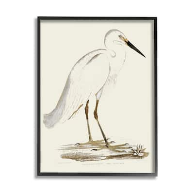 Stupell Vintage Egret Latin Study Marsh Bird Illustration Framed Wall Art
