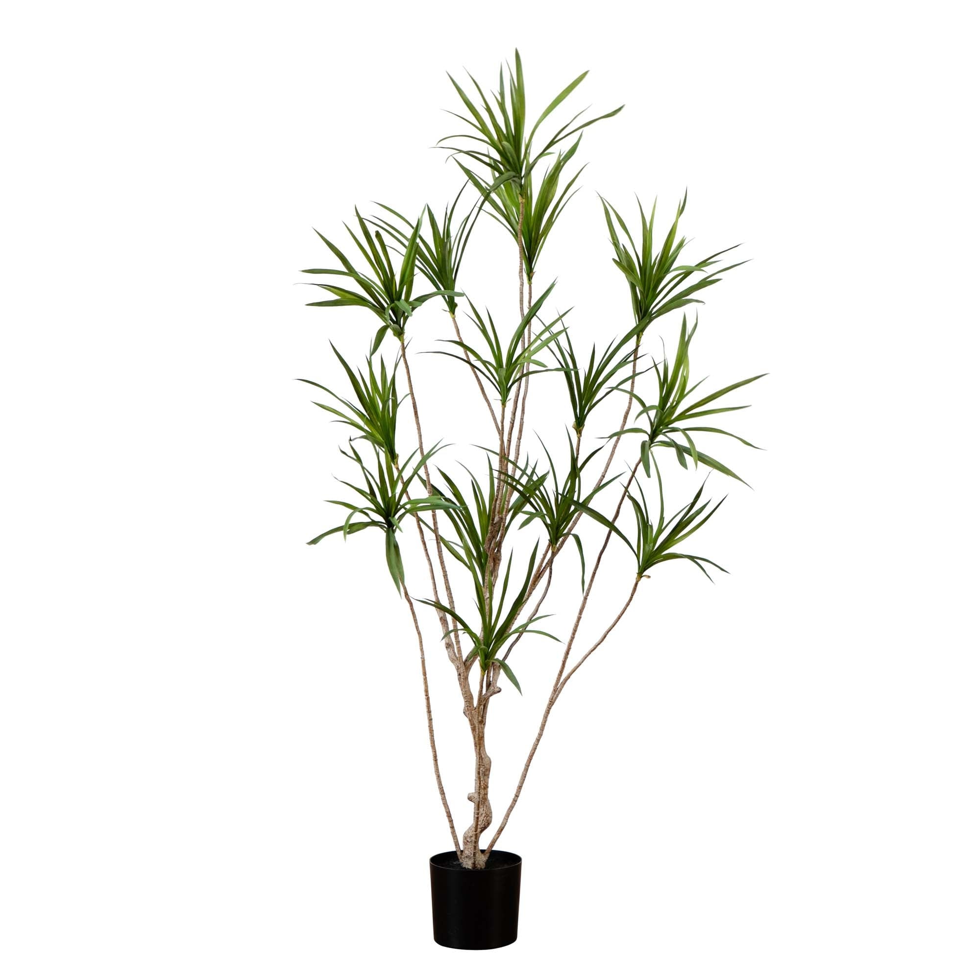 6' Artificial Dracaena Tree - Green