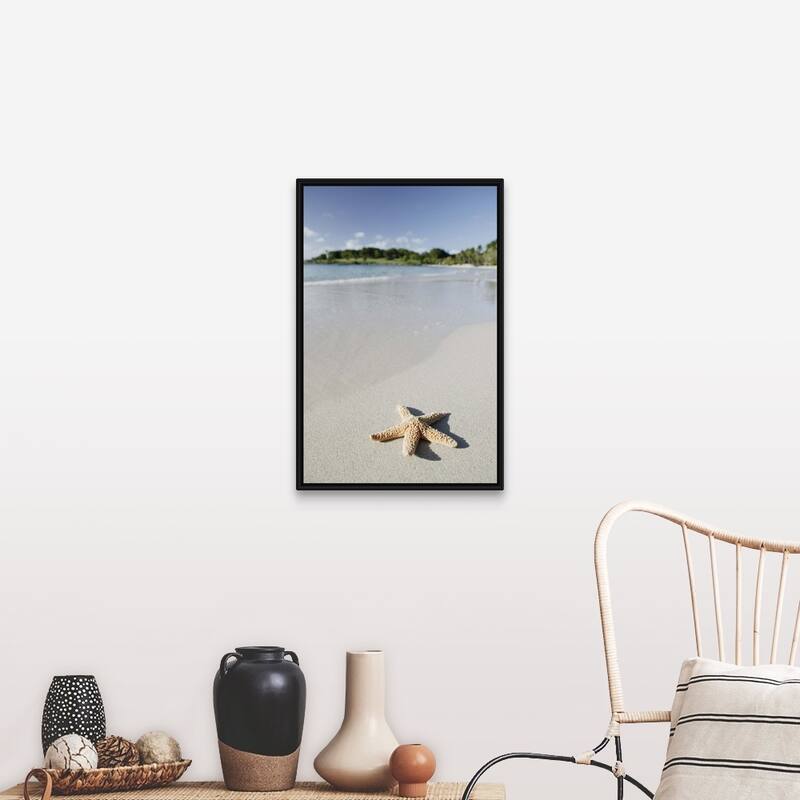 "Starfish on beach of Caribbean Sea, Virgin Islands" Black Float Frame Canvas Art - 20 x 30