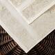 Marche Egyptian Cotton 2 Piece Bath Towel Set by Miranda Haus