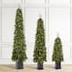 Option Set of 3-4ft&6ft&7ft