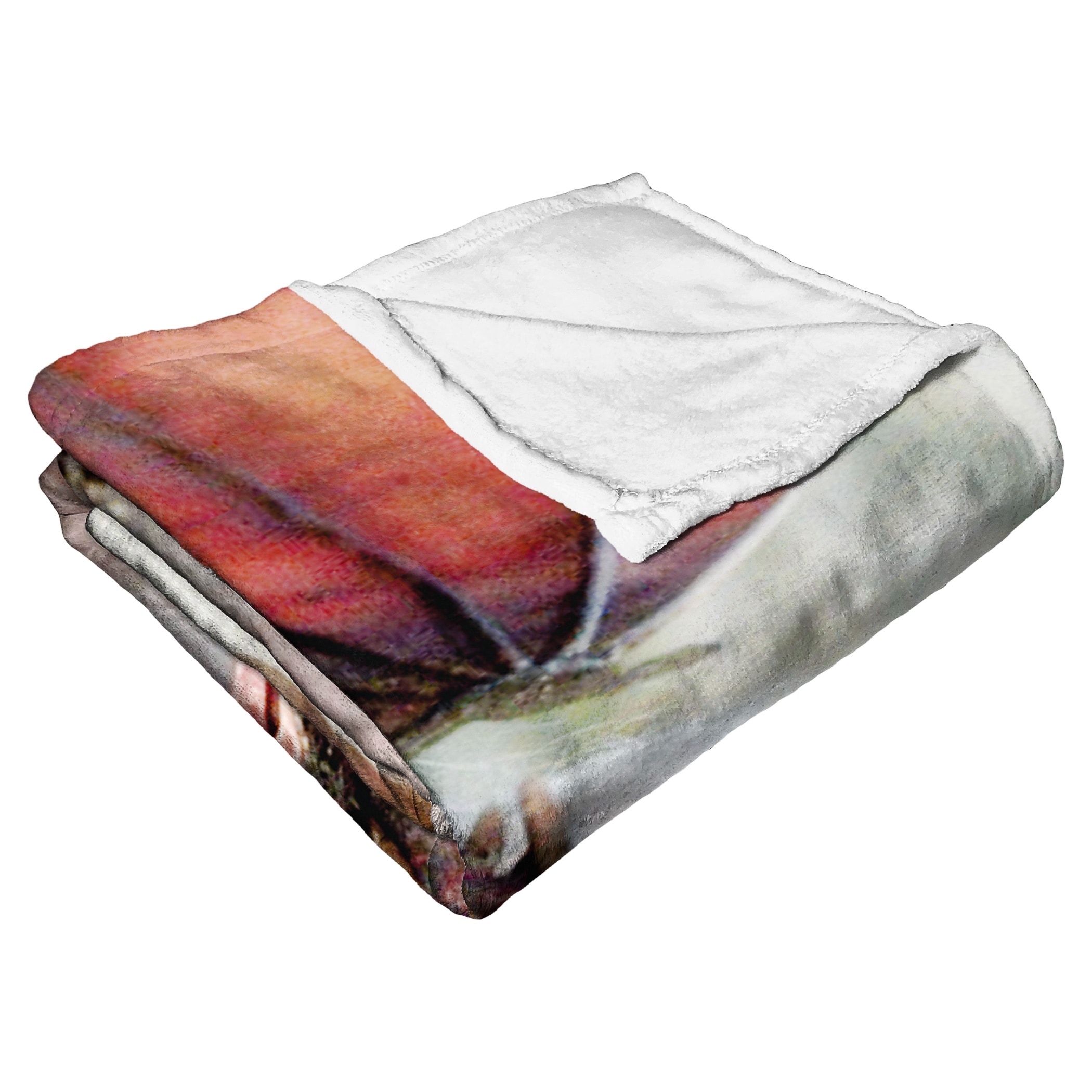 WB Game Of Thrones Mother Of Dragons Silk Touch Throw