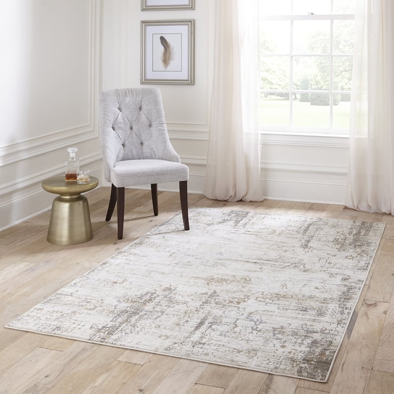 Momeni Juliet Traditional Distressed Design Area Rug