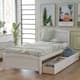 Option White