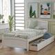 Option White