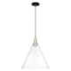 Option Clear / Black Antique Brass