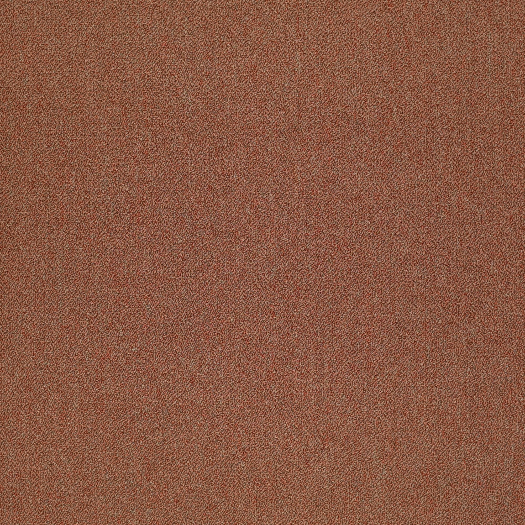 Shaw Philadelphia Commercial Counterpart 24" x 24" Glue Down Carpet
