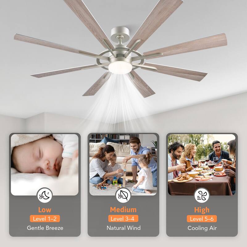 CO-Z 60'' 8-Blade Large Windmill Ceiling Fan with LED Lights and Remote for Living Room