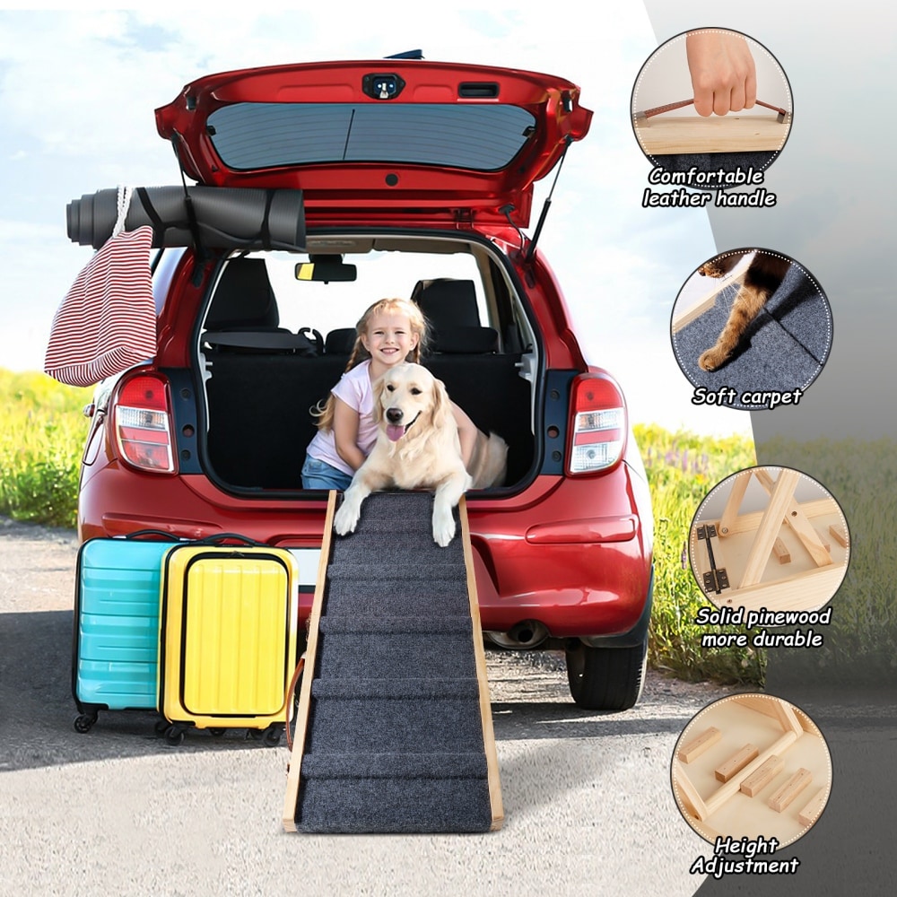 Portable pet ramp top