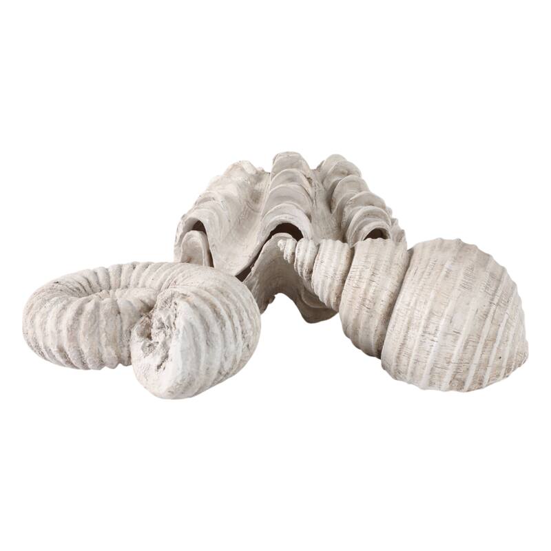Polyresin Sculpture Coastal Shell Design (Set of 3) - 5/3" Ivory - 6.25" x 4.5" x 4.75"