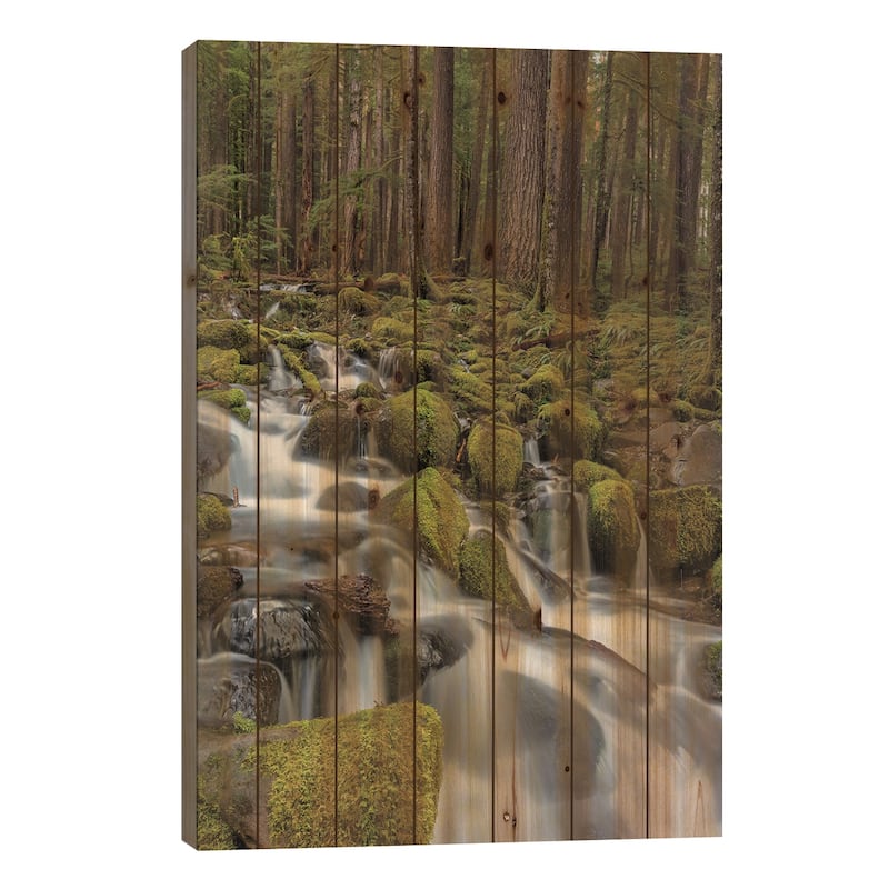 Small lush creek, Sol Duc Valley, Olympic National Park, Washington State, USA Print On Wood by Chuck Haney - Multi-Color - 26x18x1.5
