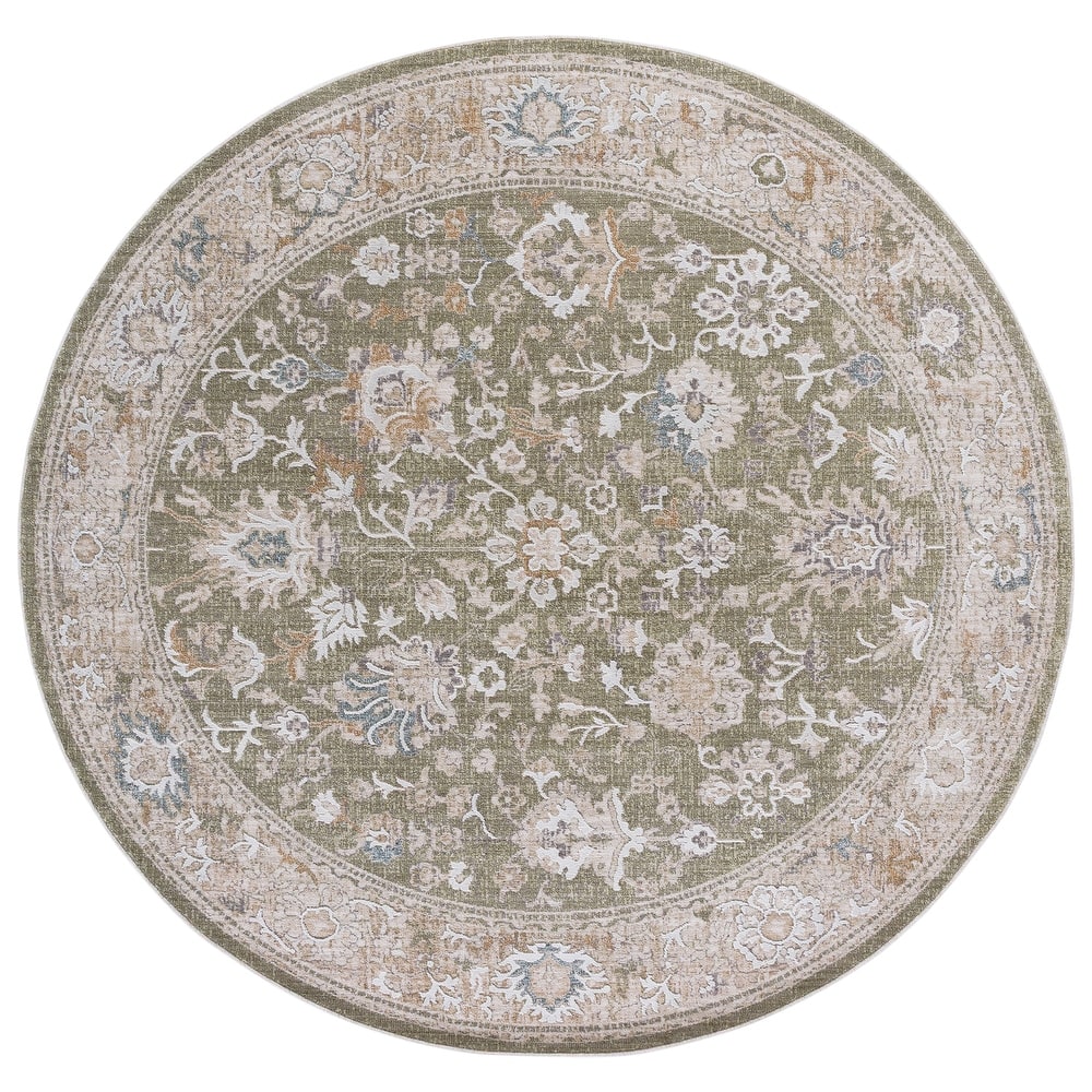 SAFAVIEH Finley Ablah Traditional Oriental Rug