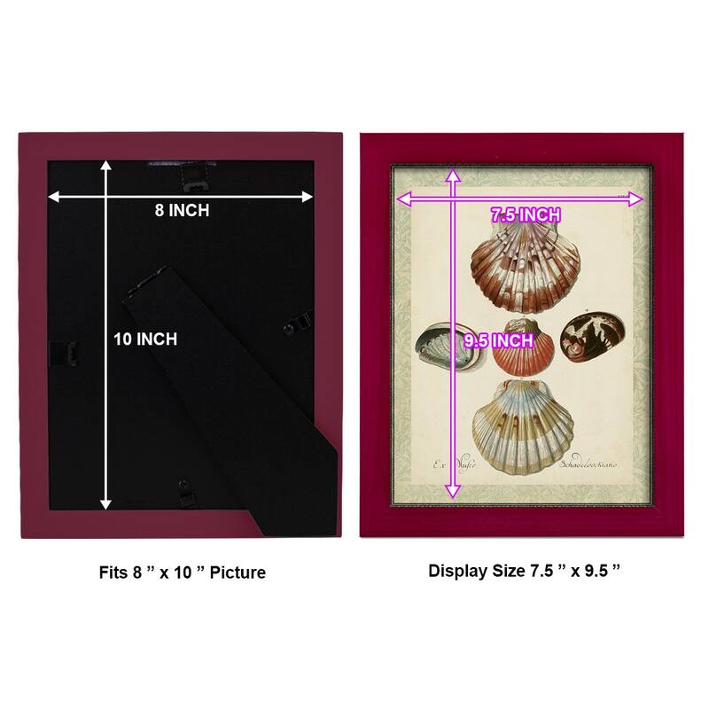 Bookplate Shells III -Framed Print w/glass-Cherry Red