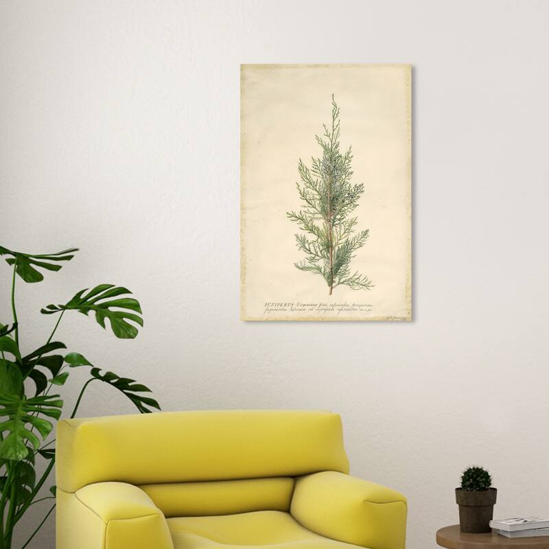 Wynwood Studio Canvas Floral and Botanical Juniper Green and Dark Green Traditional Wall Art Canvas Print - 20 x 30