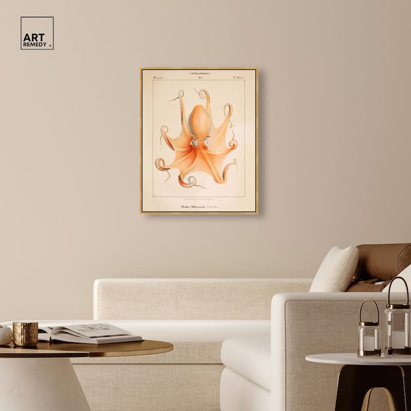 Verany The Octopus 1815 II Canvas by Art Remedy