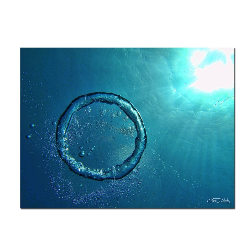 Ready2HangArt 'Bubble Ring' Wrapped Canvas Wall Art