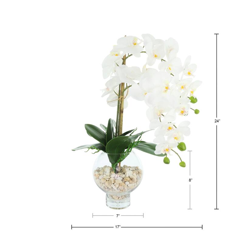 Orchids Arranged in Glass Vase with Rocks - 24