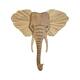 Option Elephant