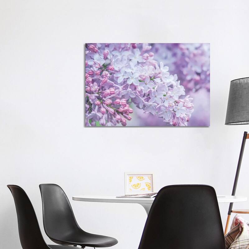 iCanvas "USA, Washington State, Seattle. Kubota Garden, lilac close-up." by Rob Tilley Canvas Print - 26x40x1.5