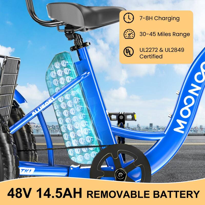 DoCred 20"x4" Fat Tire Electric Tricycle, 48V 500W with 7 Speed Ebike