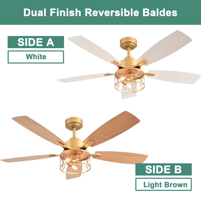 Cusp Barn 52 Inch Industrial Caged Ceiling Fan with Light and Remote, Farmhouse Quiet DC Motor Reversible Chandelier Ceiling Fan