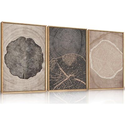 Neutral Brown Tree Rings Framed Canvas Wall Art Set