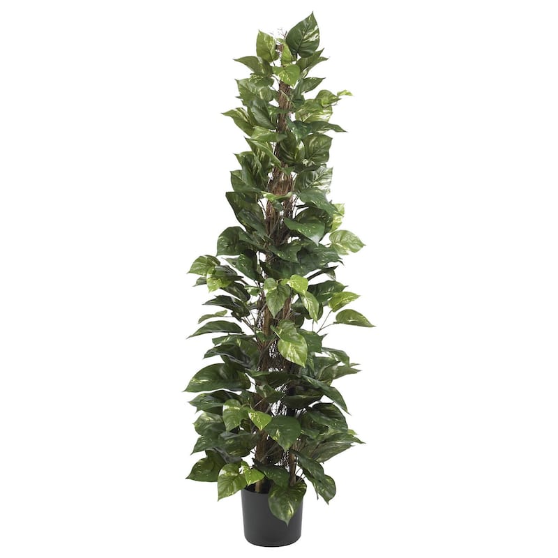 Climbing Pothos Silk Plant - 63 Inch Artificial Greenery Decor - Realistic Faux Plant for Home Office - 5.25ft.