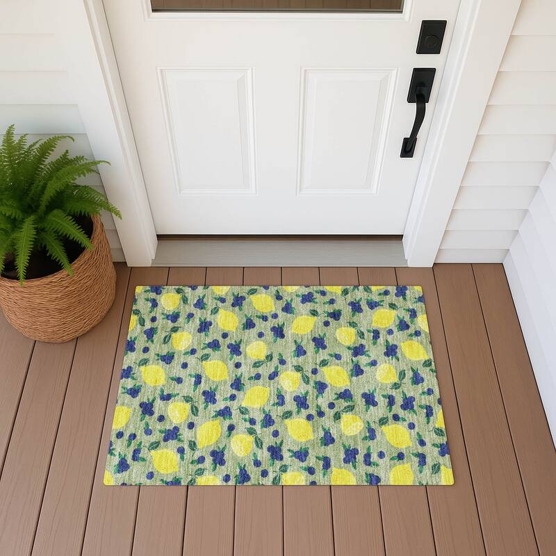 Machine Washable Indoor/ Outdoor Citrus Berry Chantille Rug - Aloe - 1'8" x 2'6"