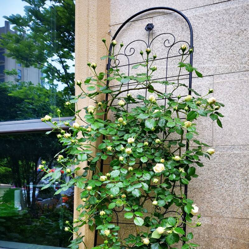 4 Pack Metal Garden Trellis for Climbing Plants Outdoor Rustproof Plant Support Rose Trellis Netting Trellis Black