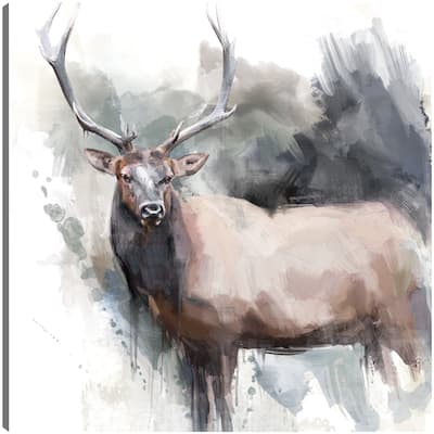Elk Portrait By Studio Arts Canvas Art Print
