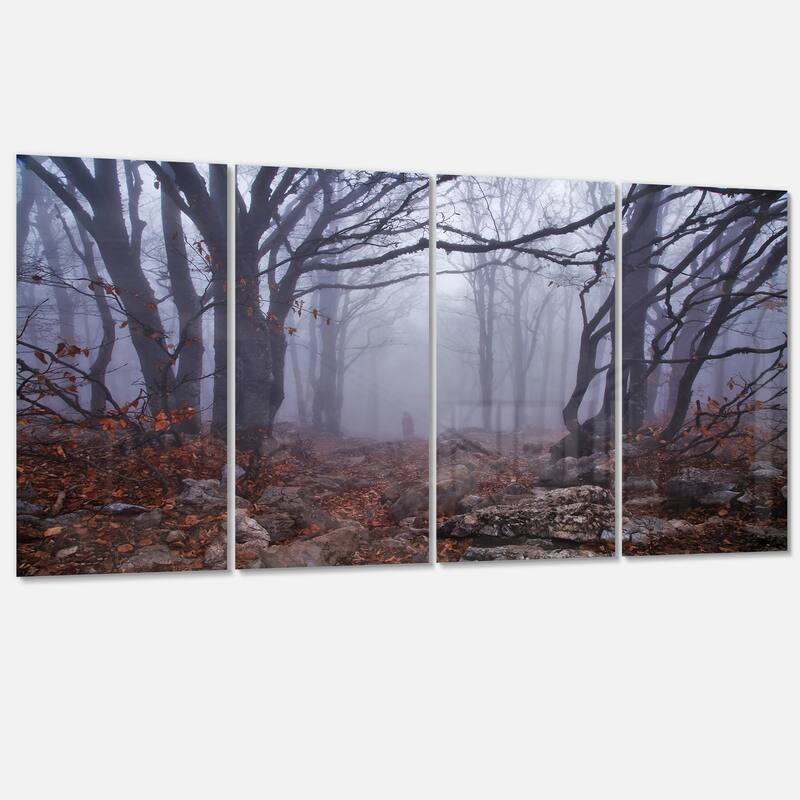 Dark Foggy Forest in Autumn - Landscape Photo Canvas Print - 48 in. wide x 28 in. high - 4 Panels