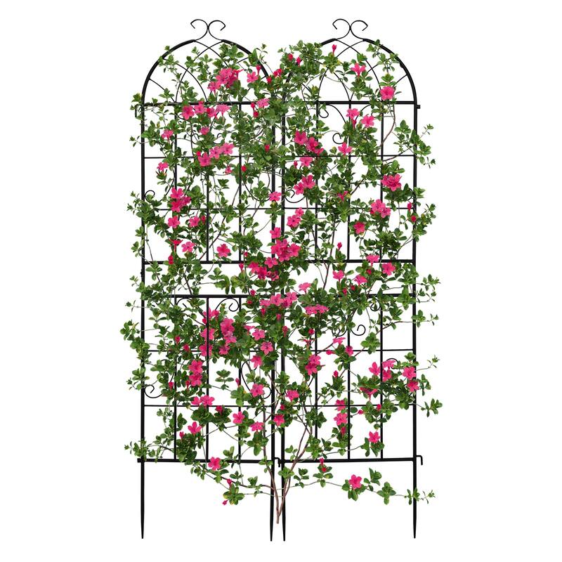 2-Pack Garden Trellis Black Iron 16x61" with Arched Top for Roses Flowers and Vegetable Plants - (16 x 61)" (W x H)