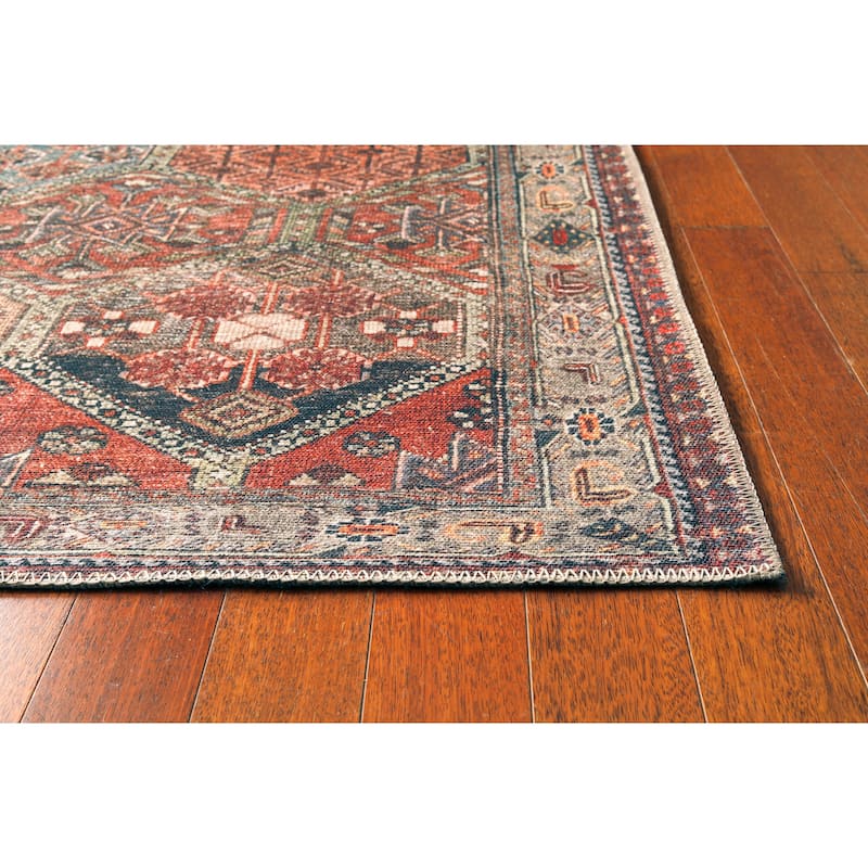Domani Grove Machine Washable Persian Medallion Area Rug