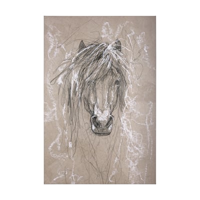 Sketch of Animal VI (Pony) (40 x 60) Canvas Art Print