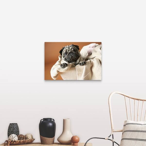 Shop Dog In Laundry Basket Canvas Wall Art Overstock 16440819