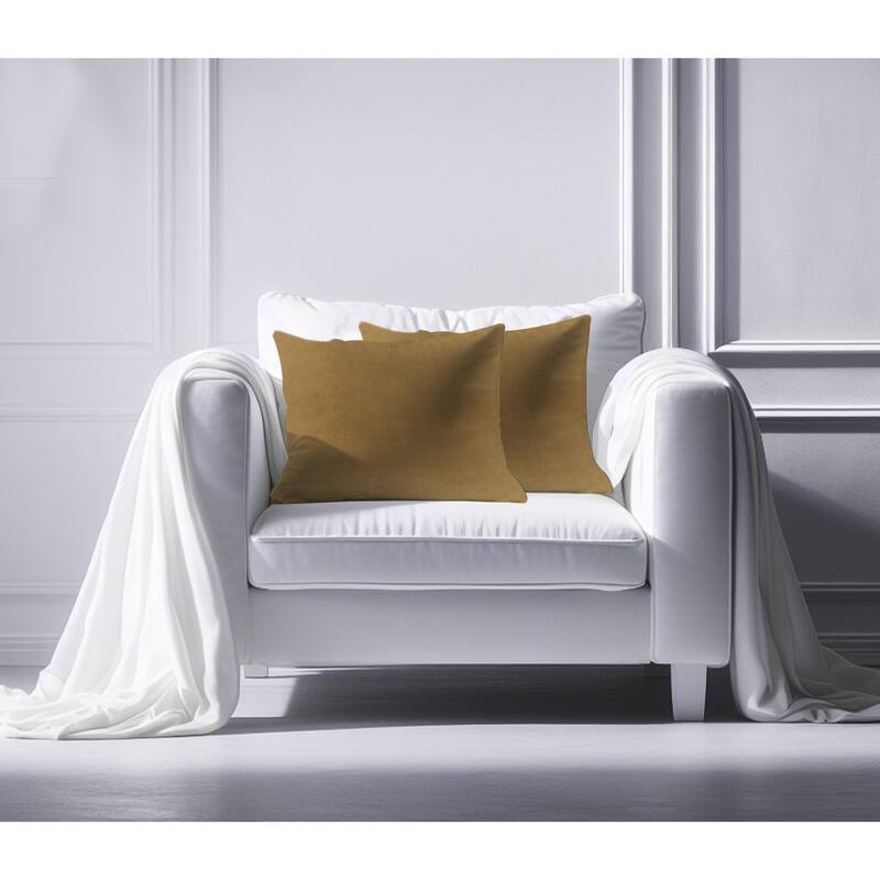 A1HC Pack of 2 Velvet Throw Pillow Insert, Hypoallergenic Down Alternative Fill