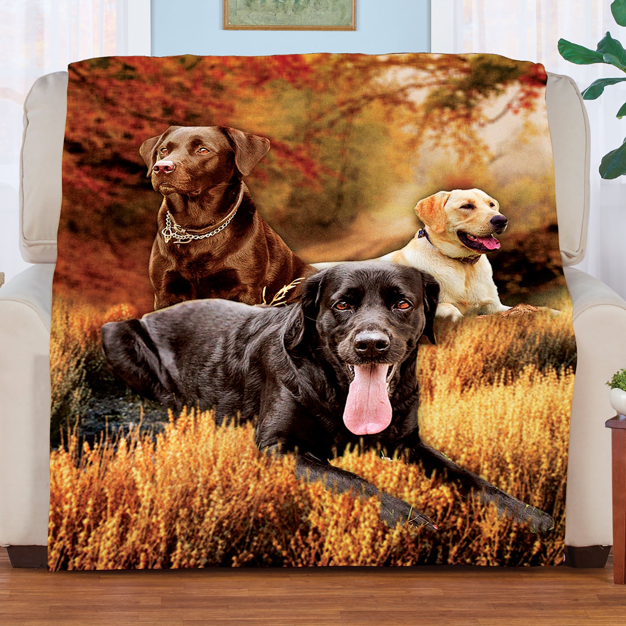 Cozy dog blanket store